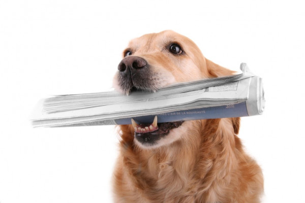 Обнаружен вредонос, превращающий суперкомпьютеры на базе GPU Nvidia, в криптомайнинговый ботнет