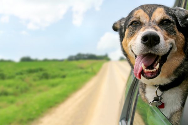 Midjourney выпустила первую модель для генерации видео