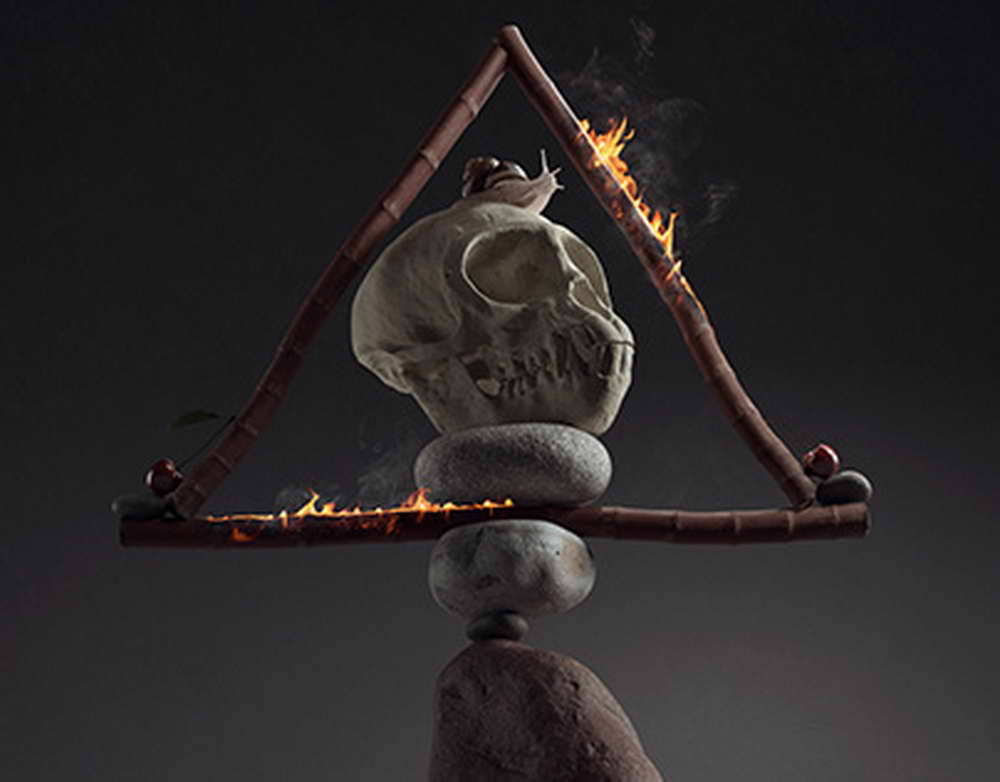 Дык Фук заявил, что отказ SHAMAN от голосования повысил его шансы на победу